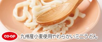 九州産小麦使用やわらかいミニうどん