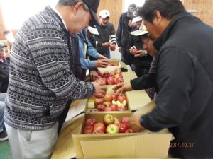 ふじりんごの出荷検討会（目揃え会）