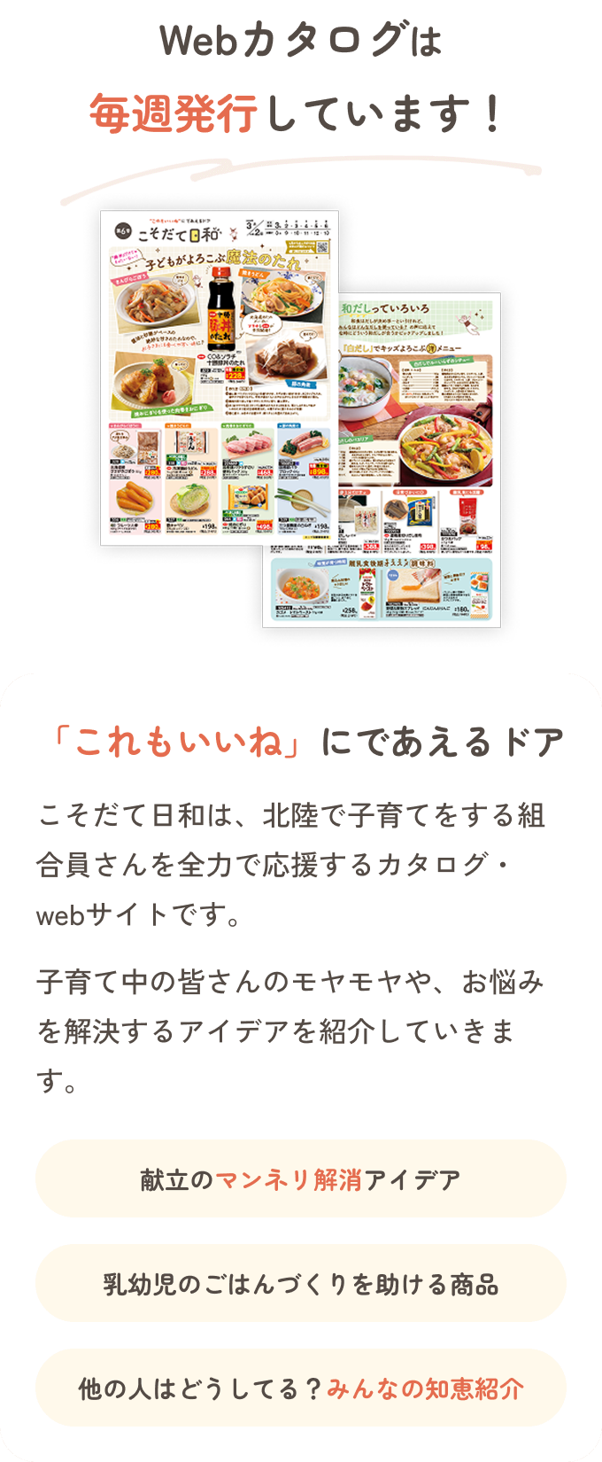 Webカタログは 毎週発行しています！