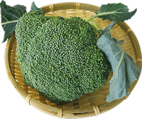 国産ブロッコリー