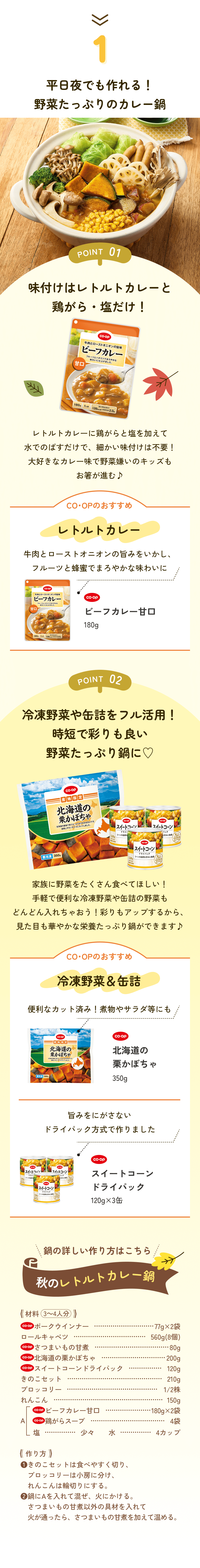 1 平日夜でも作れる！野菜たっぷりのカレー鍋