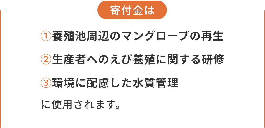 寄付金は ①養殖池周辺のマングローブの再生 ②生産者へのえび養殖に関する研修 ③環境に配慮した水質管理に使用されます。