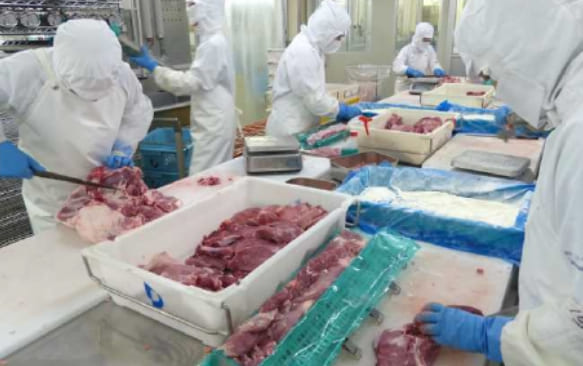 パッケージ記載の「成型加工肉」ってどういうこと？
