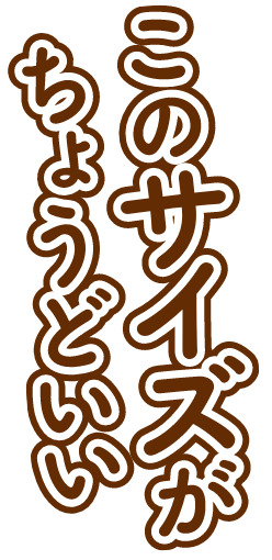 このサイズが ちょうどいい